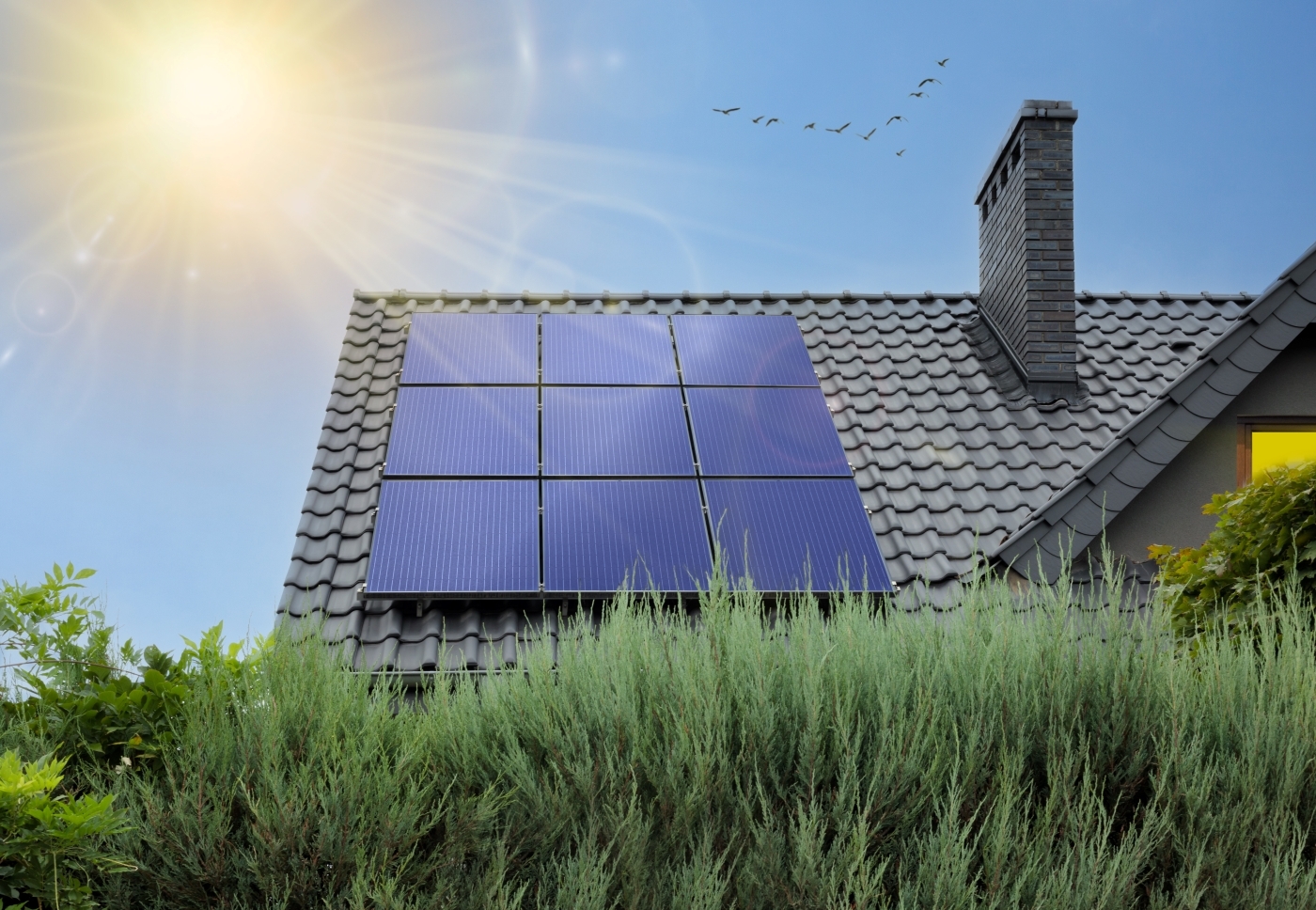 太陽光発電での収入にはインボイス対応が必要？